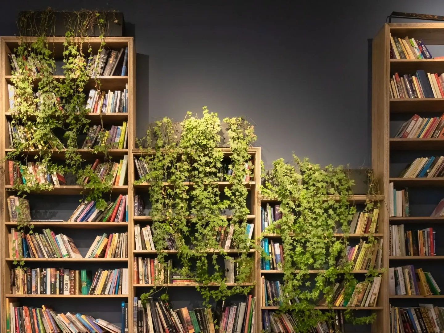 books and green