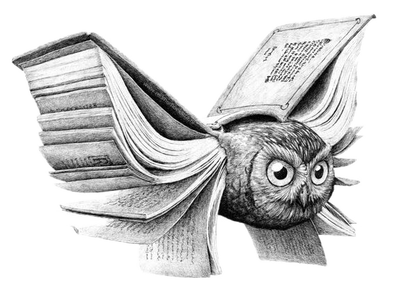 owl flying with book